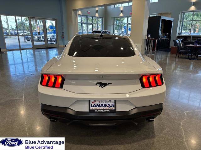 Certified 2025 Ford Mustang Premium w/ Mustang Nite Pony Package image 9