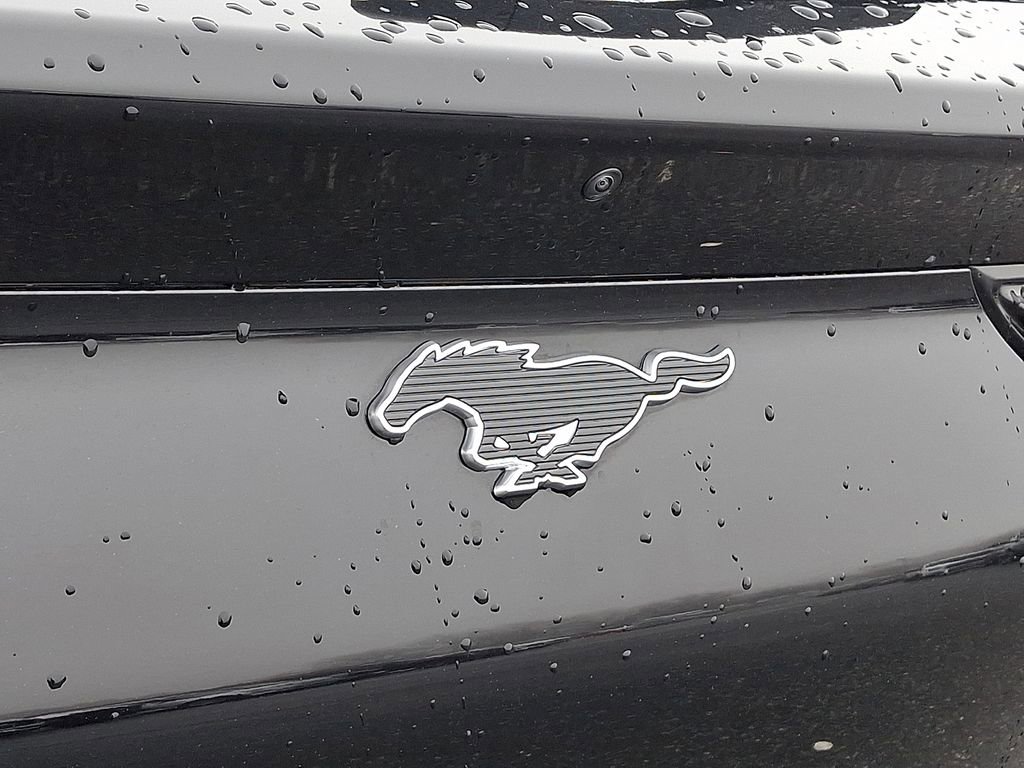 Used 2024 Ford Mustang Mach-E Premium image 29