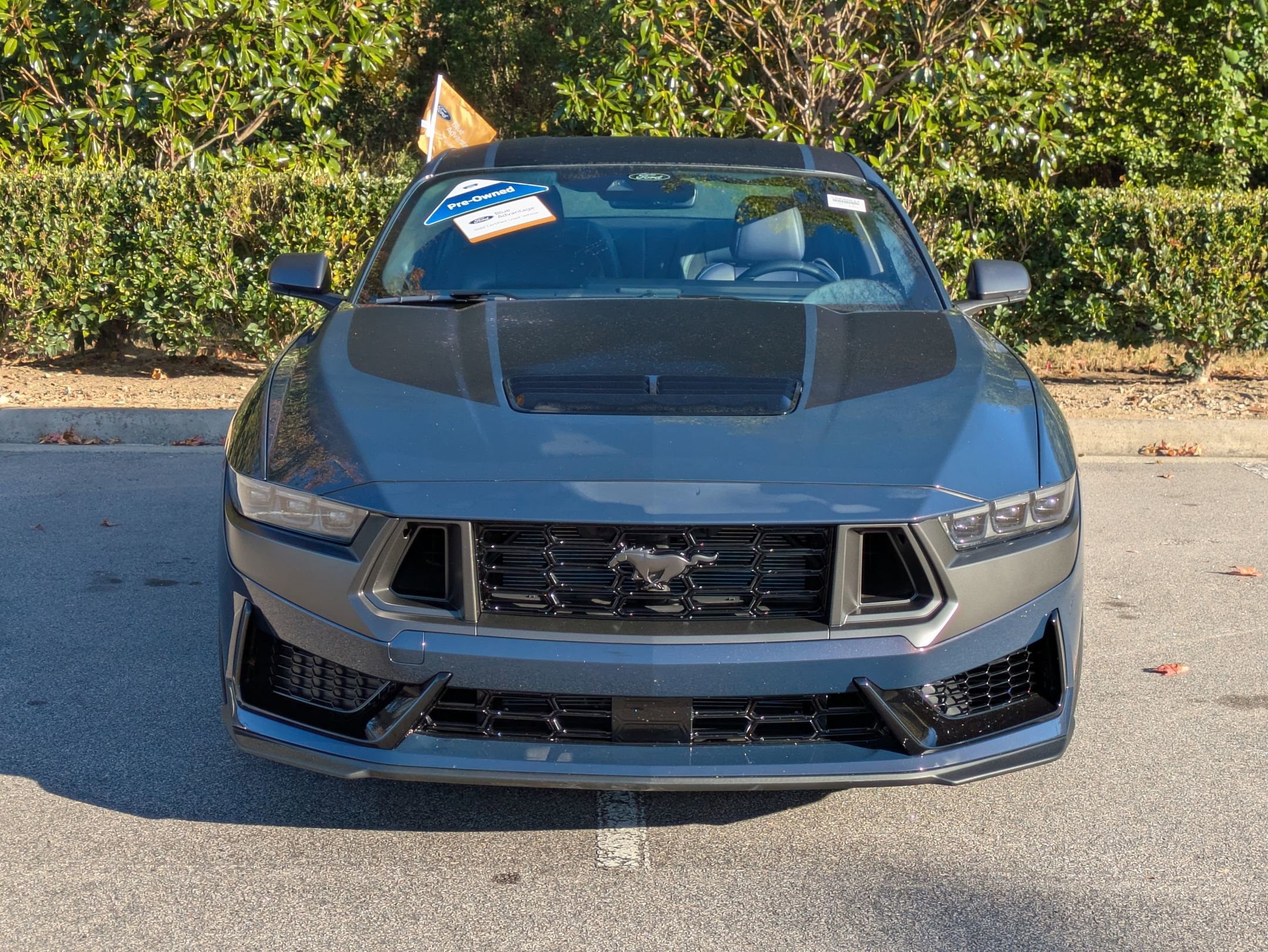 Certified 2024 Ford Mustang Dark Horse image 9