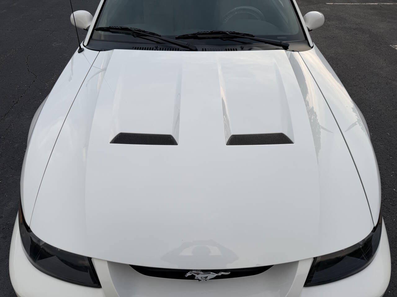 Used 2003 Ford Mustang Cobra RWD image 39