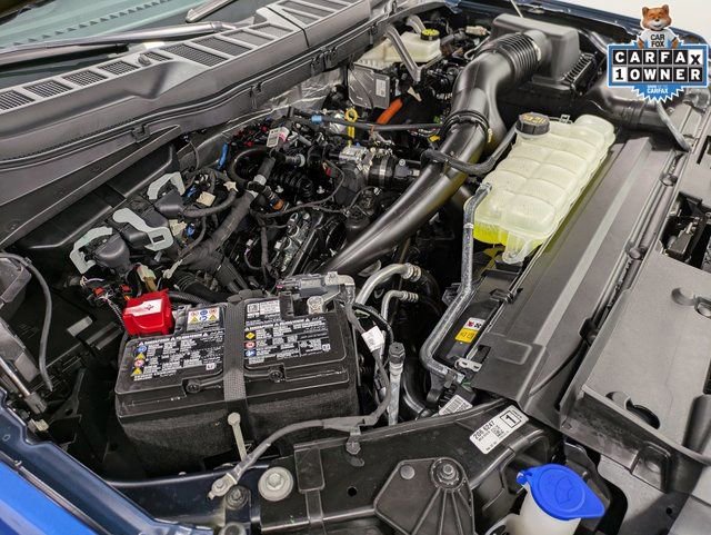 Used 2025 Ford F150 STX w/ Equipment Group 201A FX4 image 33