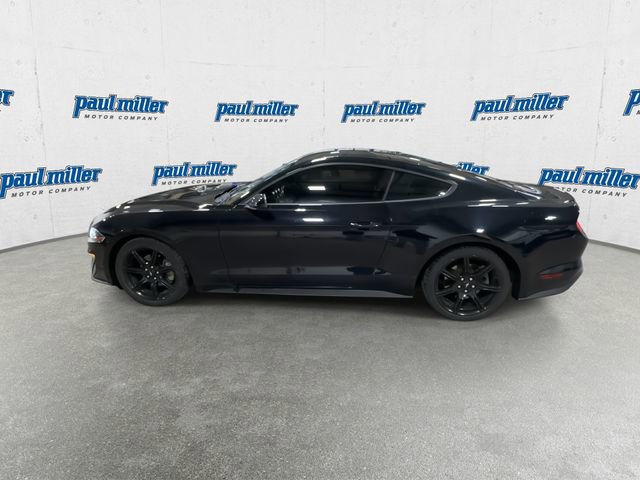 Used 2019 Ford Mustang EcoBoost w/ Black Accent Package image 7
