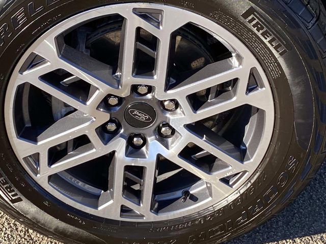 Used 2025 Ford Expedition Active image 29