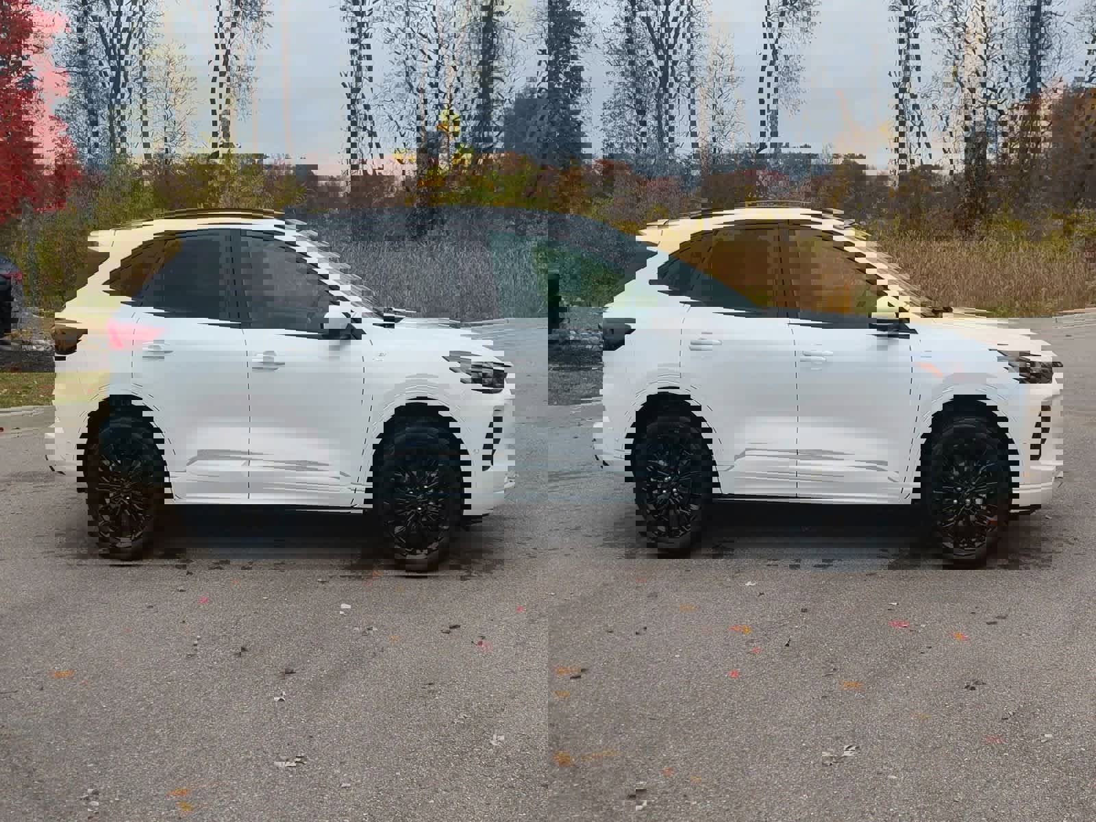 Used 2024 Ford Escape ST-Line Elite w/ Premium Technology Package image 9