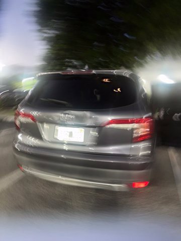 Used 2019 Honda Pilot EX-L image 8