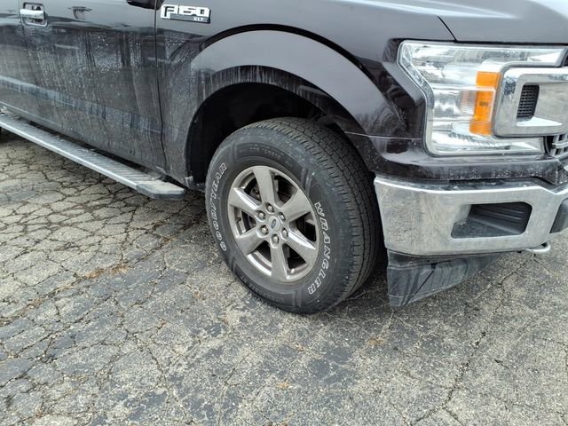 Used 2019 Ford F150 XLT w/ Equipment Group 302A Luxury image 4