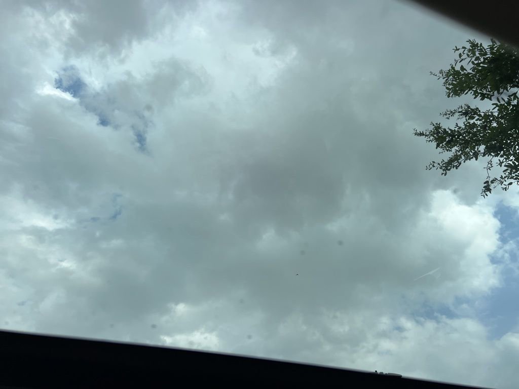 Used 2018 Ford Focus SEL w/ Cold Weather Package image 19