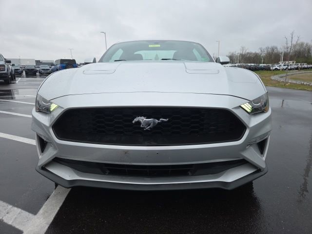 Used 2019 Ford Mustang Coupe image 3