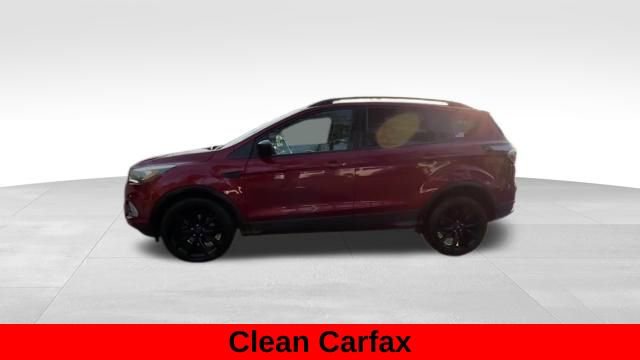 Used 2017 Ford Escape SE w/ Equipment Group 201A FWD image 3