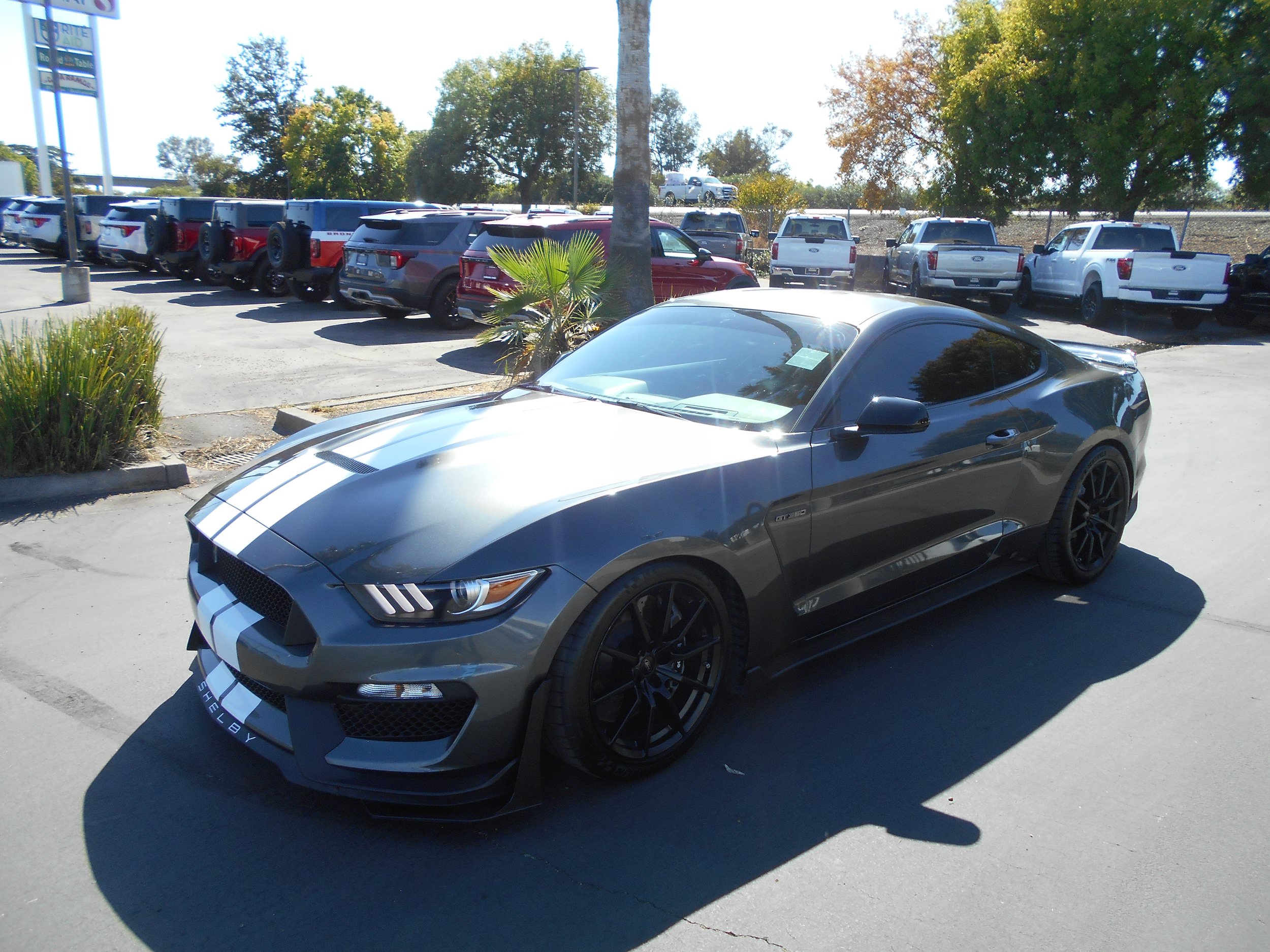 Used 2016 Ford Mustang Shelby GT350 w/ Track Package