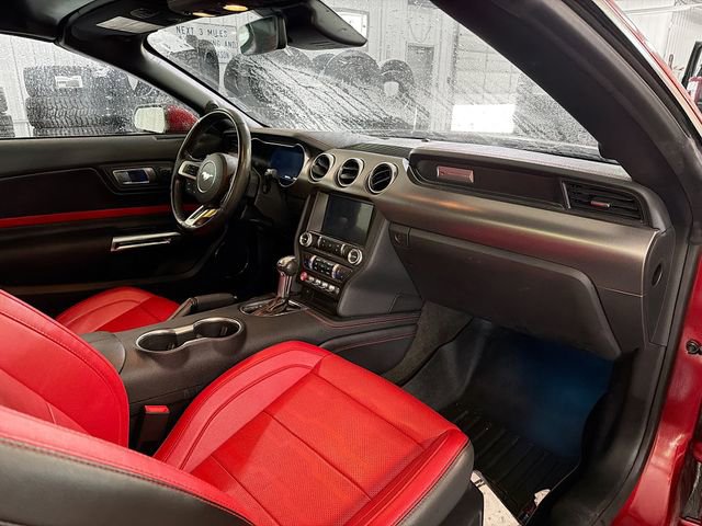 Used 2018 Ford Mustang GT Premium w/ Equipment Group 401A RWD image 12