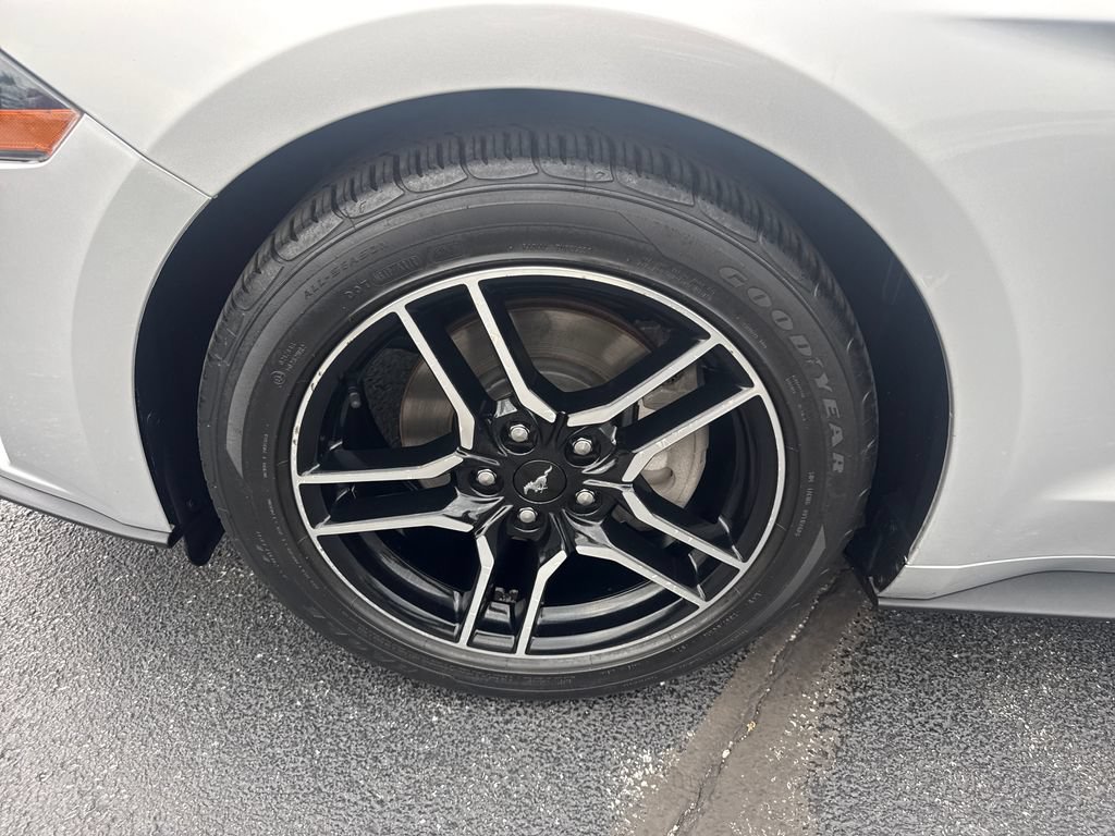 Used 2019 Ford Mustang Premium w/ Equipment Group 201A RWD image 13