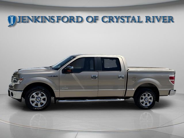 Used 2014 Ford F150 XLT w/ XLT Chrome Package RWD image 15