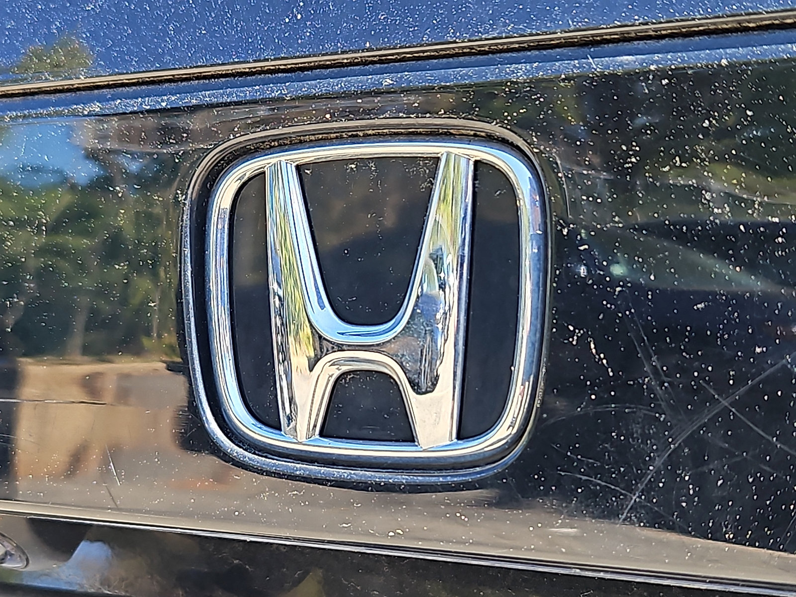 Certified 2023 Honda Accord EX image 6