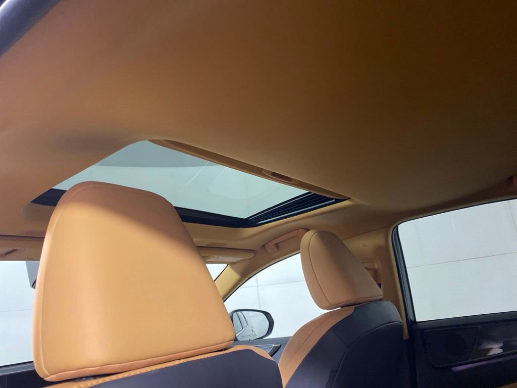 Used 2025 Lexus NX 350h AWD w/ Accessory Package (2T) image 14