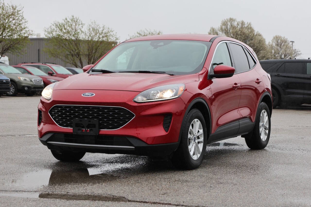 Used 2020 Ford Escape SE AWD/4WD image 6
