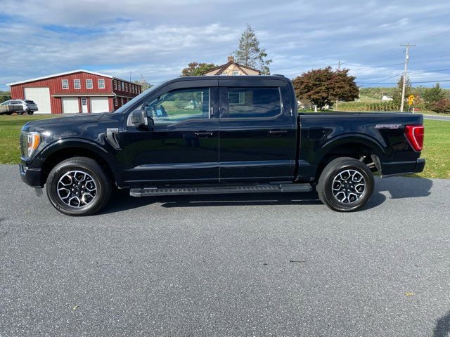 Used 2023 Ford F150 XLT w/ Equipment Group 302A High image 2