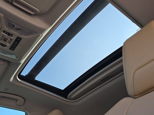 New 2025 Toyota RAV4 XLE Premium w/ Weather Package image 31