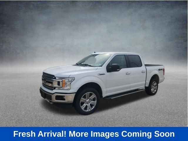 Used 2019 Ford F150 XLT w/ Equipment Group 302A Luxury AWD/4WD image 1