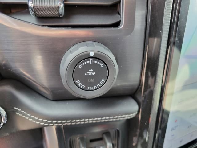 New 2025 Ford F150 Lightning Platinum image 30