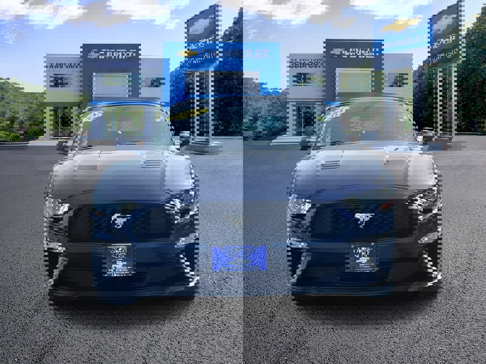 Used 2019 Ford Mustang Premium image 10