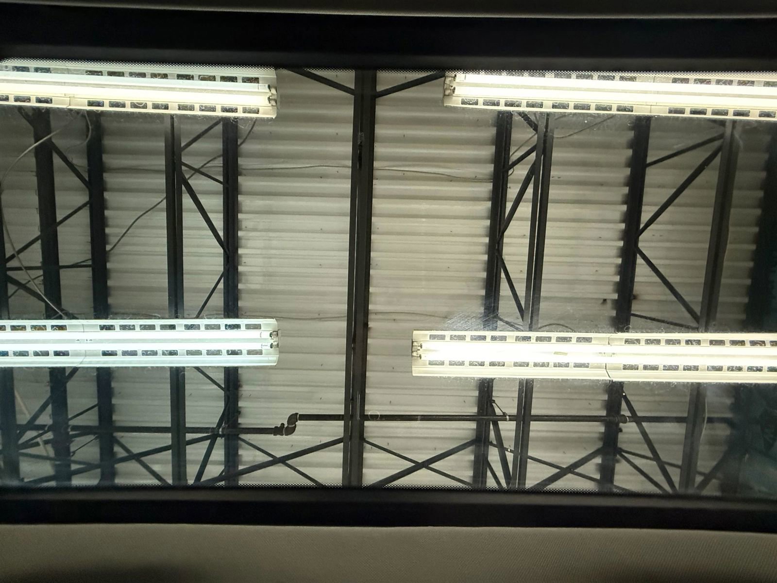 Used 2013 Mercedes-Benz ML 350 2WD image 39