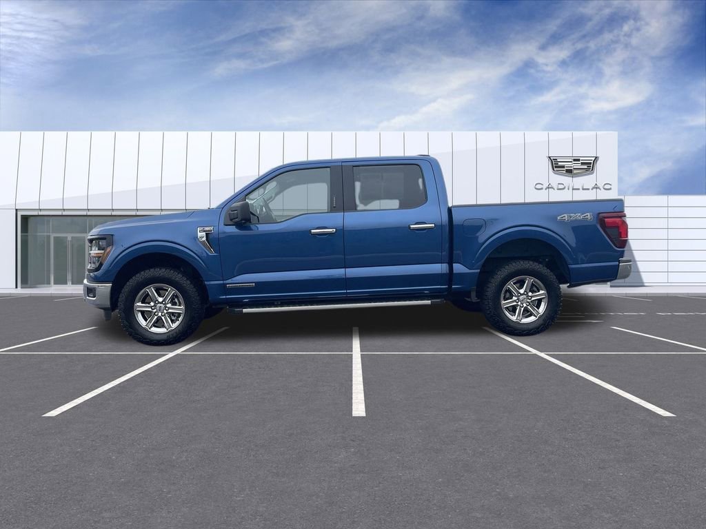 Used 2024 Ford F150 XLT w/ Mobile Office Package image 5