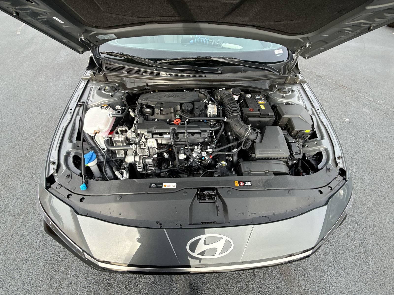Certified 2026 Hyundai Elantra N Line w/ Cargo Package FWD image 29
