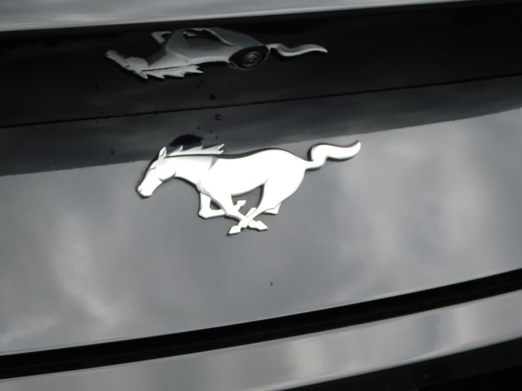 Used 2025 Ford Mustang Coupe RWD image 31