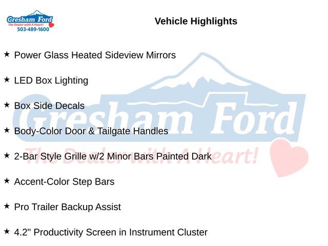 Used 2019 Ford F150 XLT w/ Equipment Group 302A Luxury AWD/4WD image 11