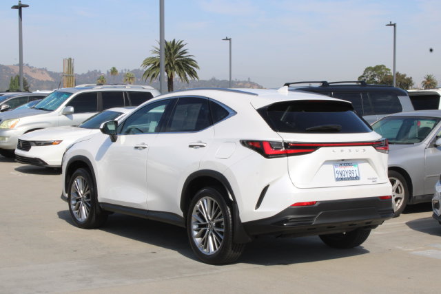 Certified 2025 Lexus NX 350 AWD w/ Cold Area Package image 19
