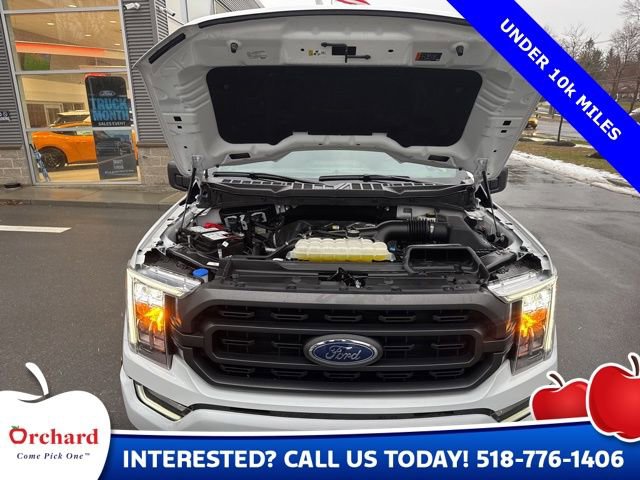 Certified 2023 Ford F150 XLT w/ Equipment Group 302A High AWD/4WD image 17