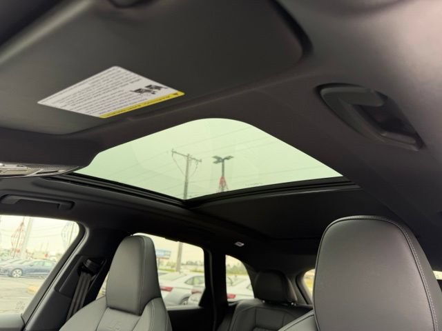 New 2026 Audi SQ5 Premium Plus AWD/4WD image 14