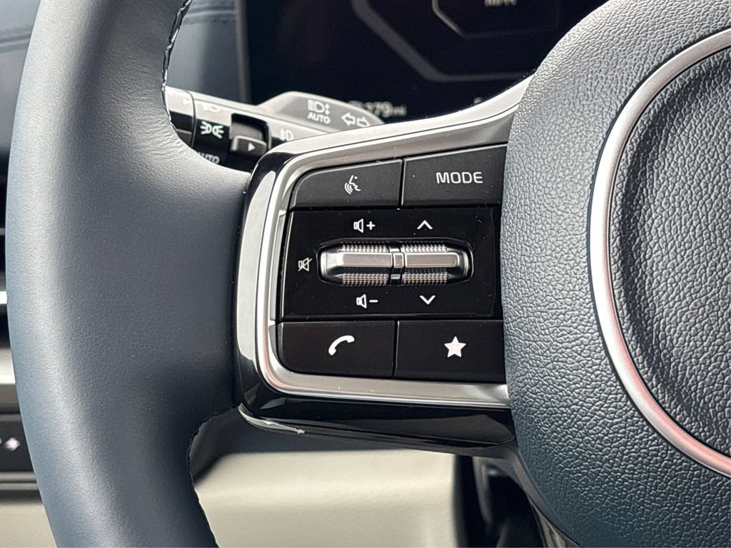 New 2025 Kia Carnival SX Prestige FWD image 22