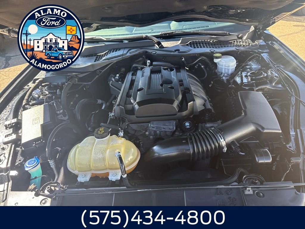 Used 2021 Ford Mustang Premium w/ Equipment Group 201A image 20