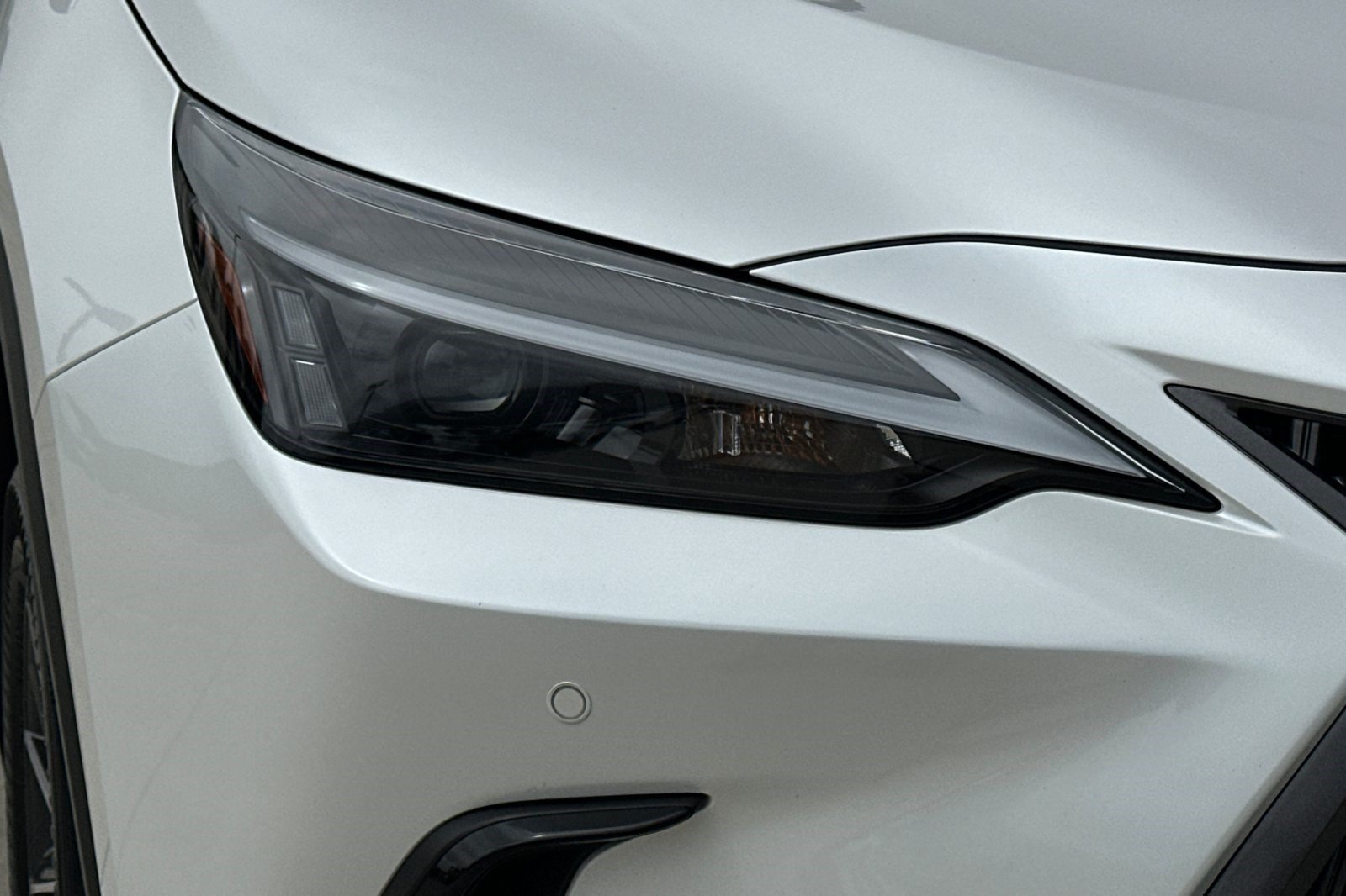 Certified 2025 Lexus NX 350h AWD w/ Premium Package image 12