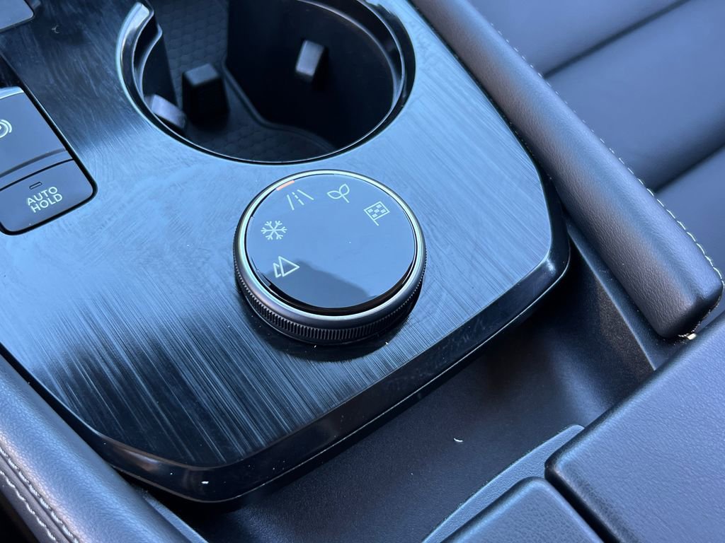 Used 2022 Nissan Rogue SL w/ SL Premium Package image 28