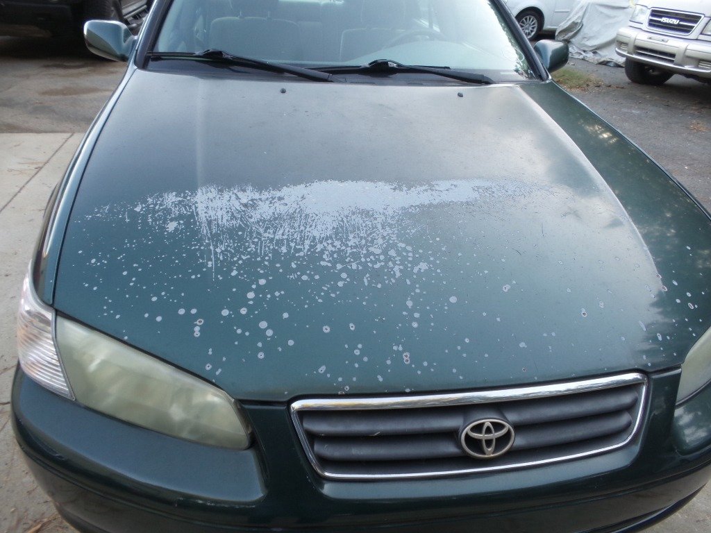 Used 2001 Toyota Camry CE FWD image 9