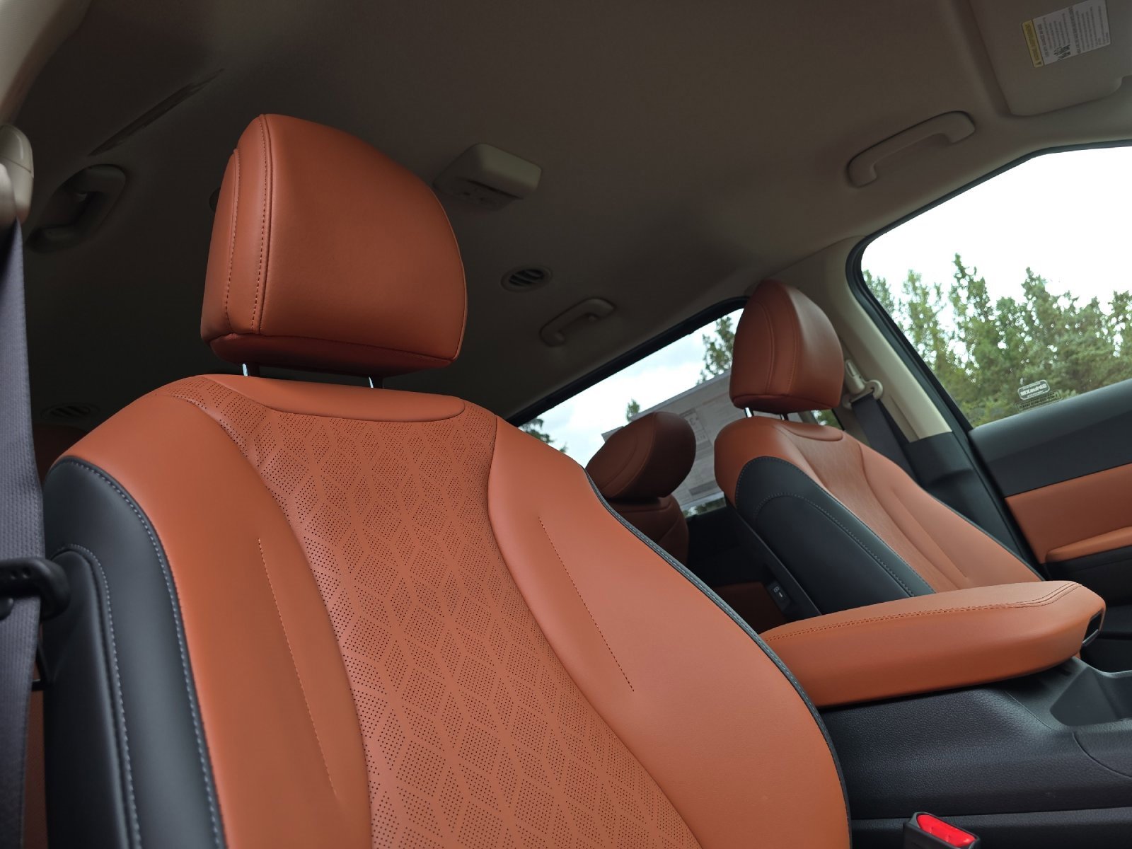 New 2026 Kia Carnival EX image 18