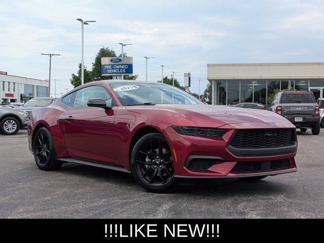 Used 2025 Ford Mustang Premium w/ Mustang Nite Pony Package RWD image 2