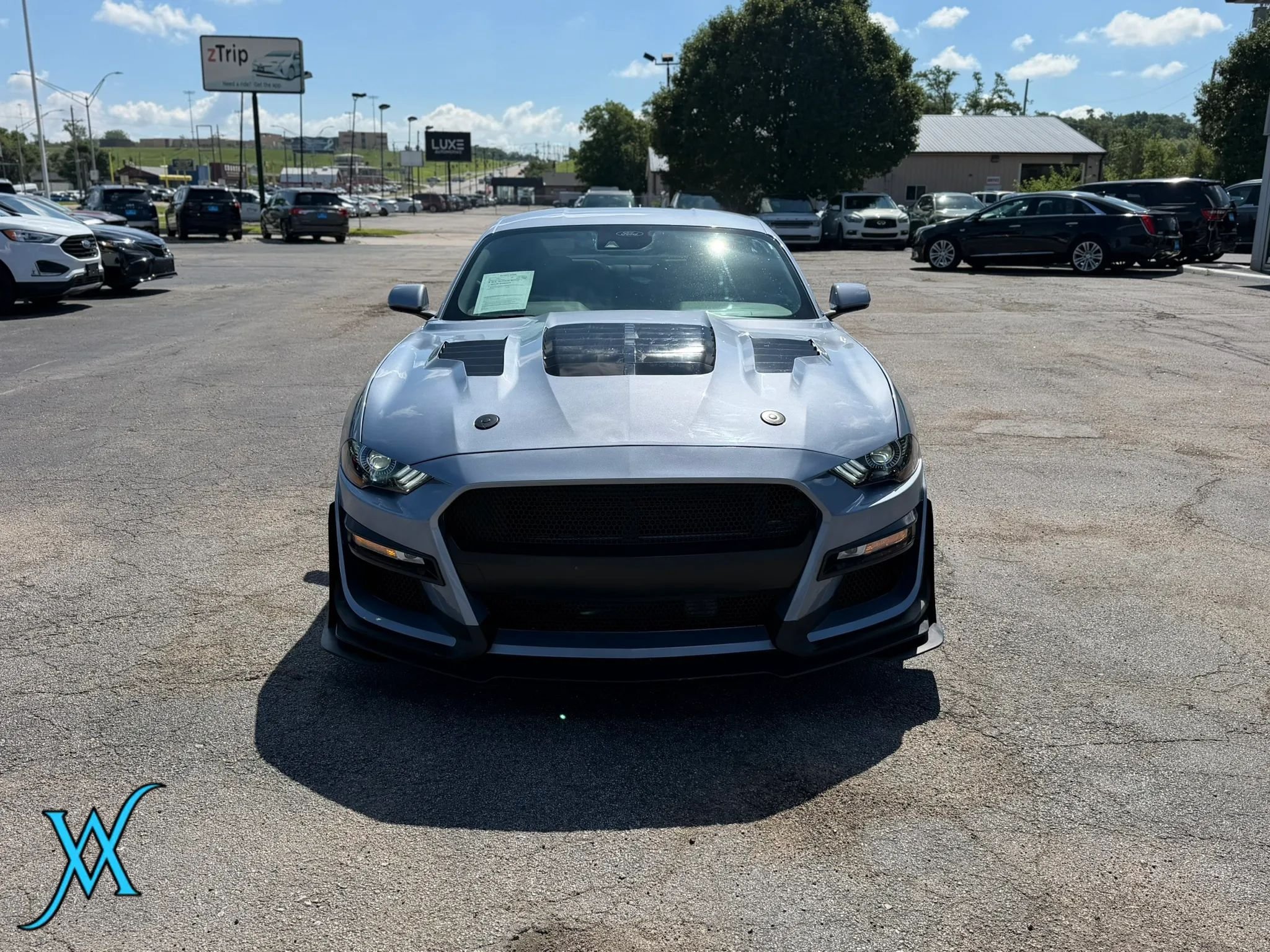 Used 2022 Ford Mustang Premium w/ Coastal Limited Package RWD image 2
