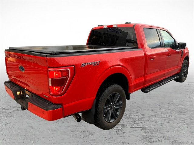 Used 2023 Ford F150 XLT w/ Equipment Group 302A High image 2