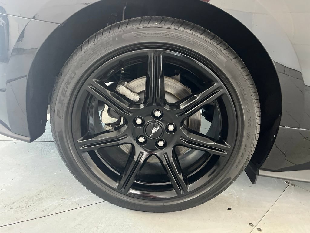 Used 2019 Ford Mustang GT w/ Equipment Group 301A RWD image 16