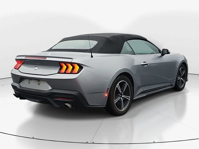 Used 2024 Ford Mustang Premium image 3