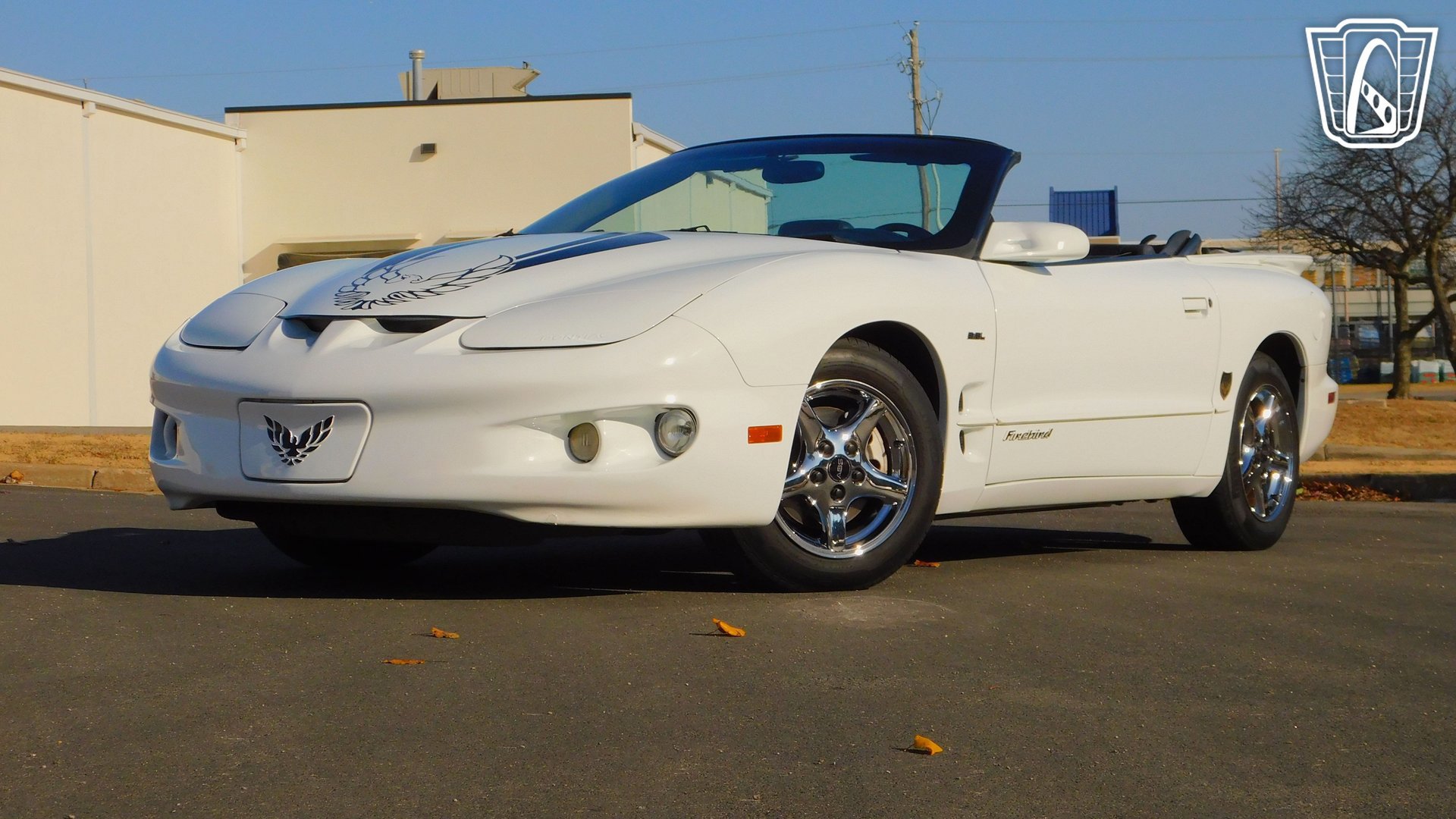 Used 2002 Pontiac Firebird Convertible image 4