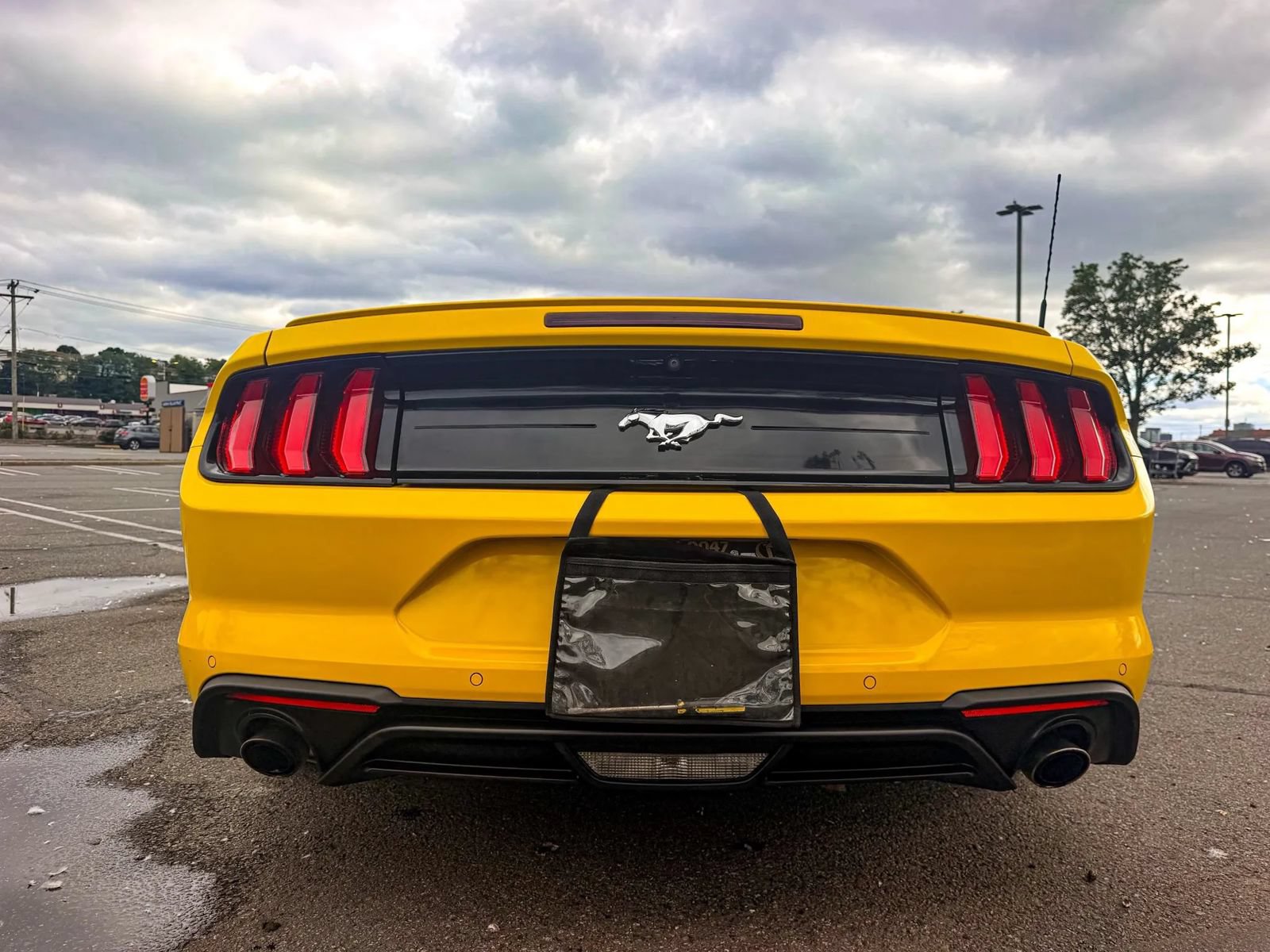 Used 2018 Ford Mustang Premium w/ Equipment Group 201A RWD image 6