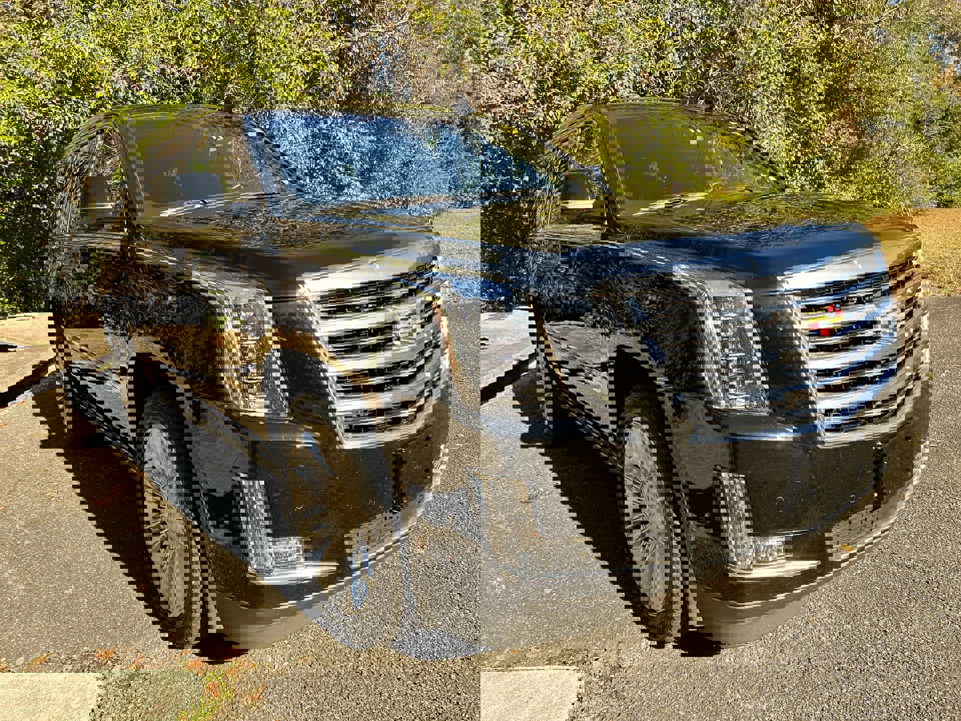 Used 2019 Cadillac Escalade Platinum image 9