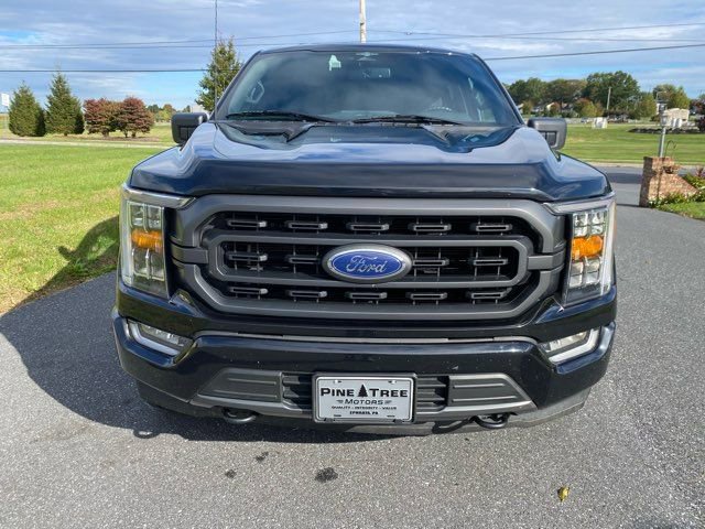 Used 2023 Ford F150 XLT w/ Equipment Group 302A High image 4