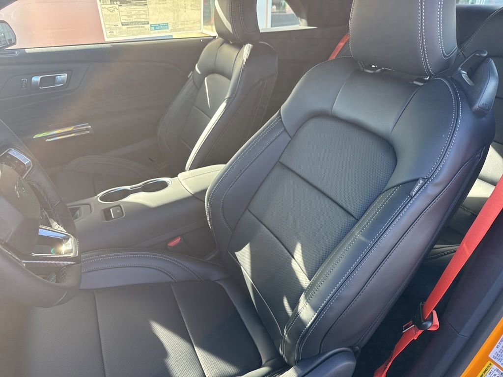 New 2026 Ford Mustang Premium w/ Mustang Nite Pony Package RWD image 12