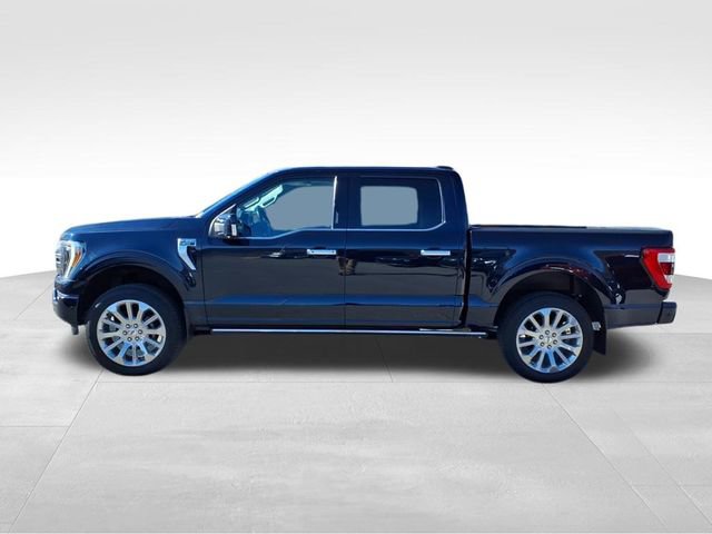 Certified 2021 Ford F150 Limited image 4